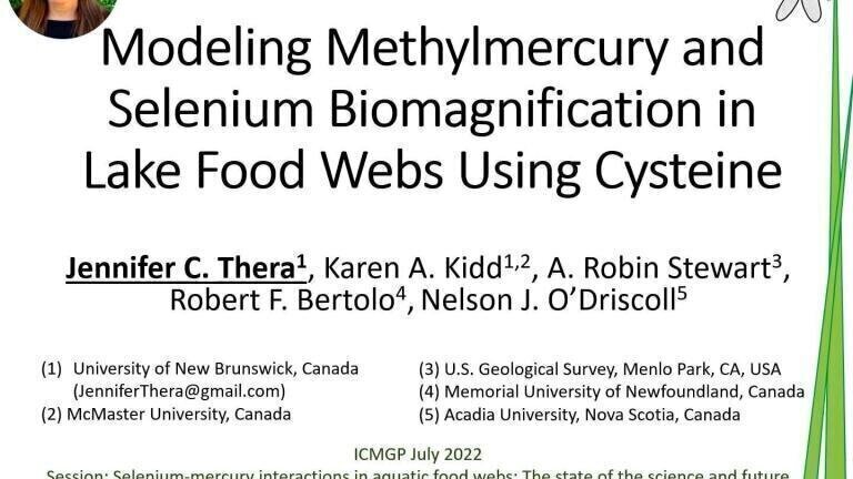 Modeling Methylmercury and Selenium Biomagnification in Lake Food Webs Using Cysteine